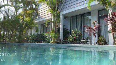 Mavi yüzme havuzunun kıyısındaki küçük palmiye ağaçları.