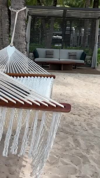 Idyllic Tropical Beach Hammock Sun Loungers Palm Trees White Sand — Stock Video