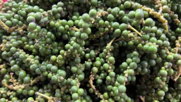 Zwarte Peper Een Plant Met Groene Bessen Bladeren Kumili Kerala — Stockvideo