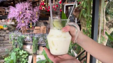 Doğal yoğurtlu yüksek açılı kase ve taze meyveler kireç ve gün ışığında taze meyveli palmiye yaprağı.