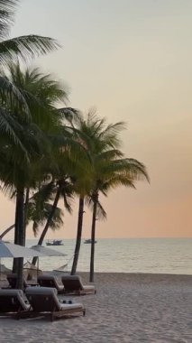 Fukuoka Phu Quoc Sonasea plajının cennet plajları. Palmiye ağaçları Hint Okyanusu 'nda gün batımında otellerin yakınında tatil yaparlar. Seyahat acentesinin varış yeri dinlenme dinlenme güzel tropik plaj