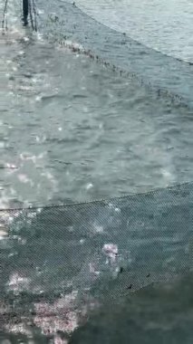 Nehir kıyısındaki üst manzaranın yakınındaki balıkçı teknesinde kurutulan balık ağları.