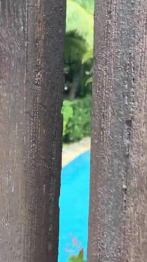 Otel tatil köyü yüzme havuzu, kamera su yüzeyi Palm pool köprüsü üzerinde hareket ediyor.