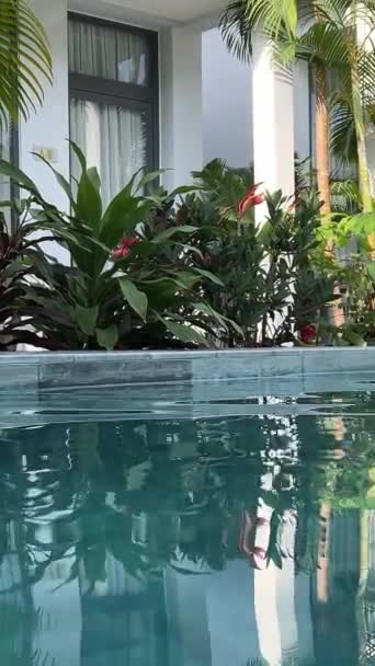 Swimming Pool Clear Turquoise Water Stairs Underwater Beautiful Garden — Stock Video