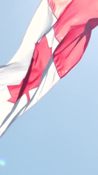 Cerrar Ondeando Bandera Canadá Símbolos Bandera Canadá Bandera Nacional Canadá — Vídeos de Stock