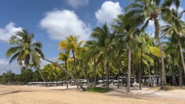 Jamaika Cennet Adası 'nda palmiye ağaçları ve turkuaz deniz olan güzel kumlu bir sahil. Yaz tatili arka planı - güneşli tropikal cennet beyaz kum plajı. Peyzaj - açık hava yazı kavramı.