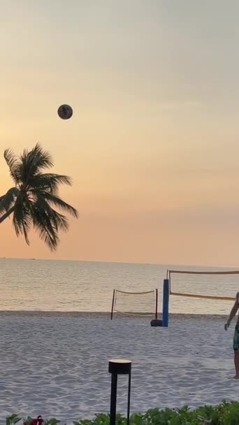 Райские Пляжи Пляжа Sonasea Пальмы Моря Закат Индийского Океана Роскошный — стоковое видео