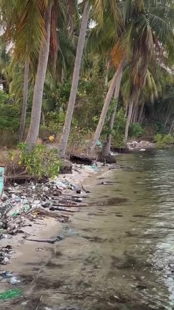 Palmeiras Natureza Intocada Lixo Lavado Barcos Terra Vietname Phu Quoc — Vídeo de Stock