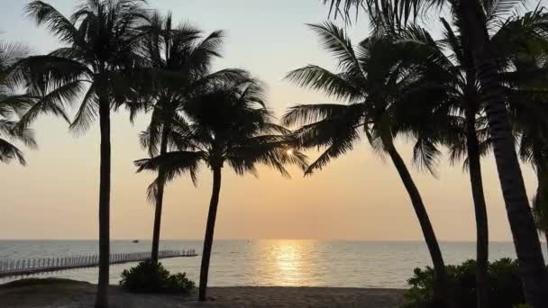 Phu Quoc Sonasea 해변의 파라다이스 인도양 럭셔리 여행사 목적지 자연의 — 비디오