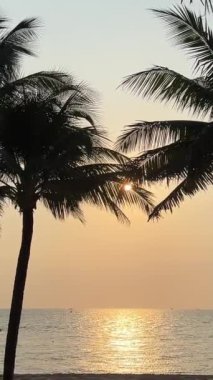 Phu Quoc Sonasea plajının cennet plajları. Palmiye ağaçları Hint Okyanusu 'nda gün batımında otellerin yakınında tatil yaparlar. Seyahat acentesi doğanın güzelliği dinlenme sırasında eğil 
