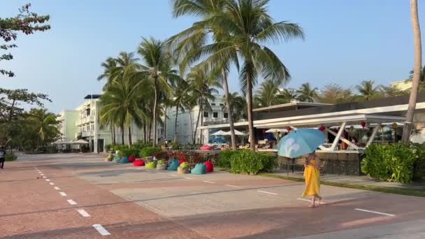 Paradijs Stranden Van Sonasea Strand Palm Bomen Zee Zonsondergang Indische — Stockvideo