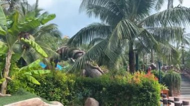 Filipinler 'deki Bohol' da Loboc Nehri 'nde bir nehir gezisi. Bu sizi Busy Falls 'a götüren görkemli bir öğle yemeği gezisiydi.. 