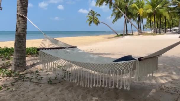 Мир Спокій Гамака Літньому Морському Пляжі Бірюзовою Водою Оточеною Тропічними — стокове відео