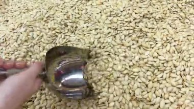 Ahşap arka planda kabak kabağı tohumları görünüyor. Makro. kompozisyon.