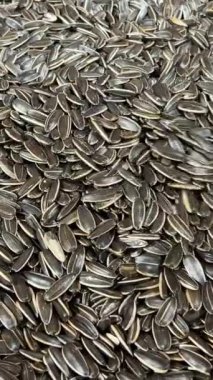 Tomurcuklanmış buğday tanelerinin arka planı döner, yakın plan, üst manzara. Sağlıklı gıda konsepti. Yüksek kalite 