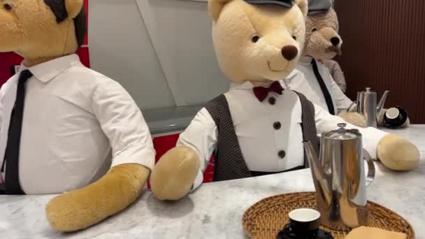 Grand World Teddy Bear Museum Vietnam Phu Quoc 2024 — Stockvideo