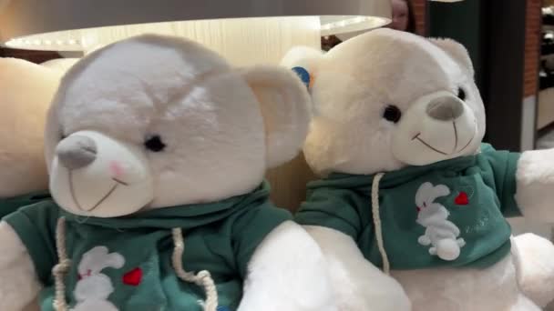 Grote Wereld Teddy Bear Museum Vietnam Phu Quoc 2024 — Stockvideo