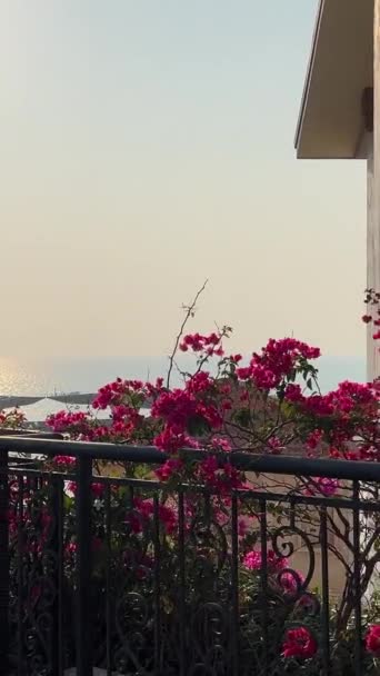 Місто Привид Заходу Сонця Острові Фукуок Єтнам Швидко Розвивається Європейська — стокове відео
