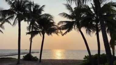 Fukuoka Phu Quoc Sonasea plajının cennet plajları. Palmiye ağaçları Hint Okyanusu 'nda gün batımında otellerin yakınında tatil yaparlar. Seyahat acentesi doğanın güzelliği dinlenme