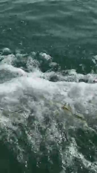 Pohled Pohybující Lodi Přes Vodu Rybích Farem Postavených Jezeře Malým — Stock video