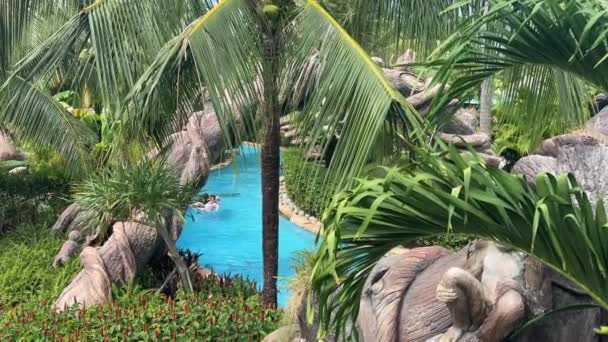 Güneşli Bir Günde Harika Bir Tropik Tatil Köyünde Yüzme Havuzu — Stok video