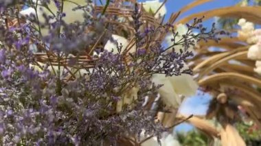 Düğün hazırlıkları. Plajda düğün süsleri. Palmiye ağaçları, okyanus insanları çiçekler düğün dekoru plajları deniz kenarındaki çiçekli güller, güneşli yaz ayları. 