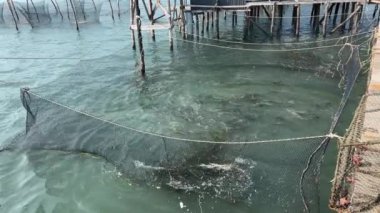 Balıkçılar, Vietnam 'daki Hint Okyanusu' nda kavurucu güneşin altında Phu Quoc adasında balık yetiştiriyorlar. Sıradan Vietnamlıların gerçek hayatı. 