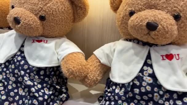 Großes Teddybärenmuseum Vietnam Phu Quoc 2024 — Stockvideo