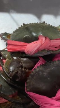 Canlı taze tatlı su çamur yengeci konteynır vitrininde satıldı. Balıkçılar tarafından yakalanan balıklar. Sağlıklı gıda, beslenme, omega-3 konsepti. deniz ürünleri.