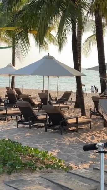 ソナセアビーチのパラダイスビーチ パームツリー 海の日没インド洋ラグジュアリー休暇ホテル近く 旅行代理店の目的地 自然休憩の美しさ ベトナム Phu Quoc Island 2024 — ストック動画