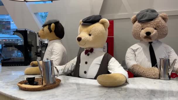 Grand World Teddy Bear Museum Vietnam Phu Quoc 2024 — Stockvideo