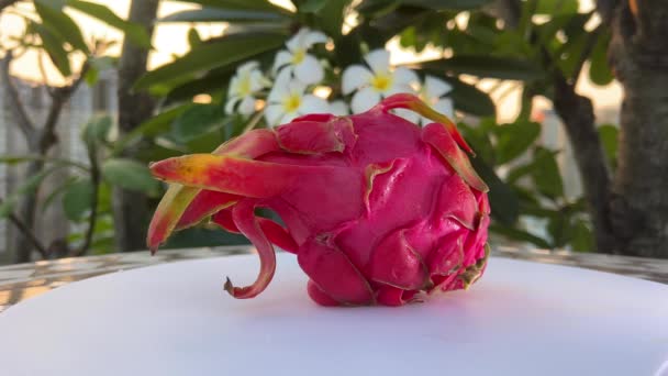 Πολλαπλά Κόκκινα Φρούτα Δράκος Ένα Καθαρό Λευκό Φόντο Ροζ Pitaya — Αρχείο Βίντεο