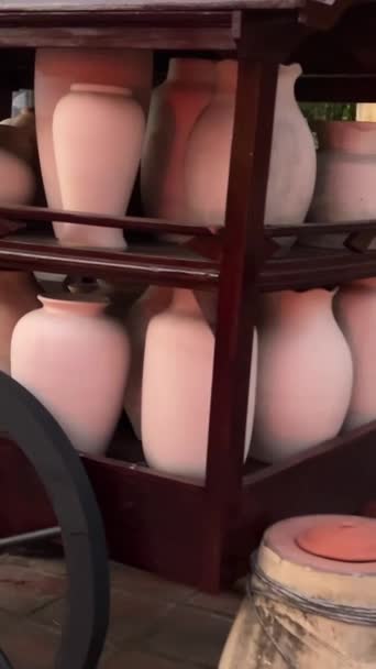Земляная Посуда Большими Глиняными Горшками Месте Города Помайр Сантьяго Чили — стоковое видео