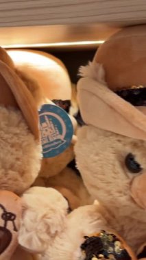 Büyük Dünya Ayı Müzesi Vietnam Phu Quoc 04.16.2024 