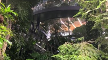 Gerçek hayatta Doha Hamad Katar Havayolları Katarı. Doha Havaalanı 04.10.2024