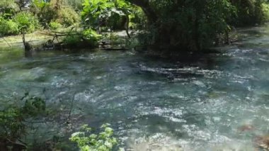 Norveç dağ nehrinin yavaş akışı, kayaların arasından akan akıntı. Nehir taşlarını akan suyla kapatın, Norveç 'teki dağ nehrinde akan temiz su.