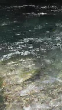 Hızlı nehir. Su ve taşlar, nehir akıntısı. Dağ nehrinin dalgalı nehirleri