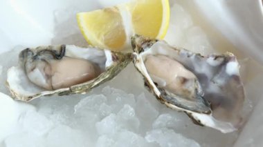 Buz ile beyaz bir plaka üzerinde taze istiridye ve süper yakın çekim. Fotoğraf makinesinin dairesel hareket