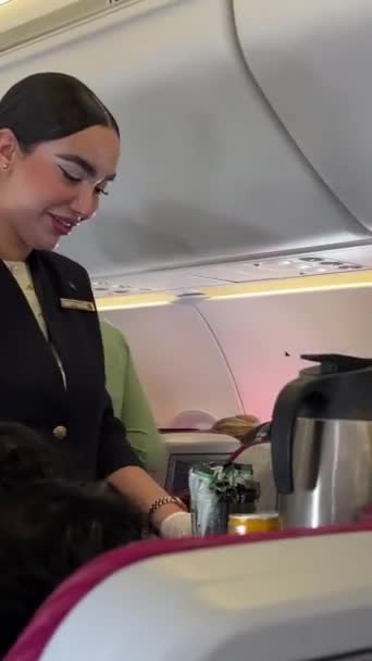 Stewardess Ételeket Iszik Doha Hamad Qatar Airways Katar Dohai Repülőtér — Stock videók