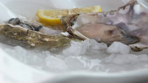 Zbliżenie Ostryg Obrotem Cytryny Płycie Lodowej Luksusowa Restauracja Morska Owocami — Wideo stockowe