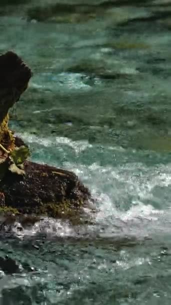 Agua Flotante Del Río Parwati Situada Valle Del Kullu Manikaran — Vídeo de stock