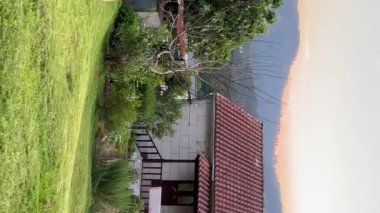 Köpek Portekiz 'deki evinde, dağ doğasının etrafında yavaş çekimde koşar. Yüksek kalite 4k görüntü