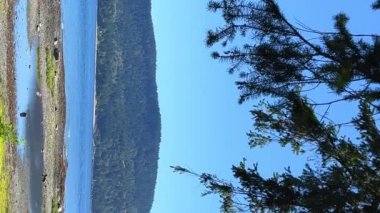 Bir adanın görülebildiği bir manzara. Kozalaklı bir ağaç dallarını bir resmin üzerinden düşürmüş. Kanada 'da tatil ilan ediyor. 