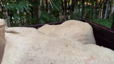 Beyaz buğday unu, ekmek pişirmek için buğday unu.