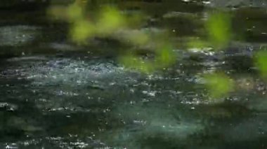 Temiz suyun dalgalı yüzeyi doğal ortamda hızlı akar, gündüz vakti. Hızlı nehir