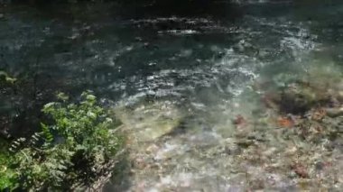 Hızlı nehir. Su ve taşlar, nehir akıntısı. Dağ nehrinin dalgalı nehirleri