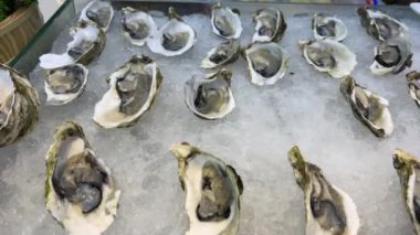 Buzlu ve limonlu bir tabakta taze istiridye, yukarıdan manzara. Buzlu istiridye.