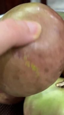 Chrysophyllum cainito Cainito, Cainito, Caimito, tar elma, yıldız elması, mor yıldız elması, altın yaprak ağacı, abiaba, pomme de lait Golden leaf ağacı olarak da bilinir. Yıldız elma meyveleri