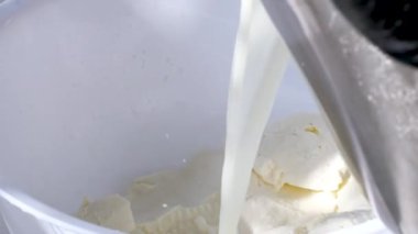 Peynir fabrikası peynir hazırlıyor. Yumuşak peynir üretimi için dolgu kalıpları. Peynir kurusıkı tuzlu suya batırılmış. Mozzarella Caciocavalo