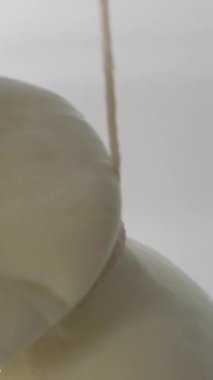 Peynir fabrikası peynir hazırlıyor. Yumuşak peynir üretimi için dolgu kalıpları. Peynir kurusıkı tuzlu suya batırılmış. Mozzarella Caciocavalo